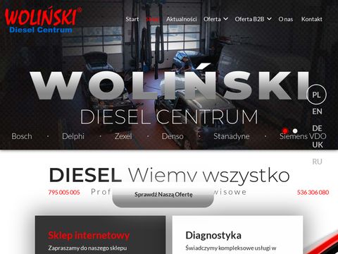Wolinski.com.pl - wtryskiwacze