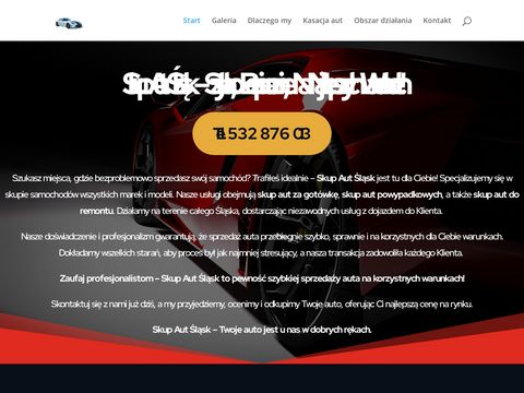 Skupaut24.slask.pl - szybka wycena