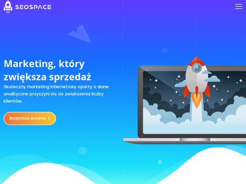 Seospace.pl kampanie Adwords