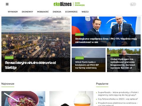 Zielona energia - ekobiznes.pl