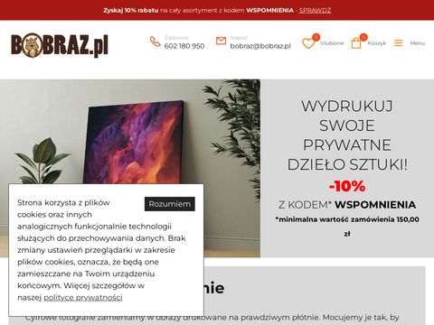 Bobraz.pl obraz ze zdjęcia