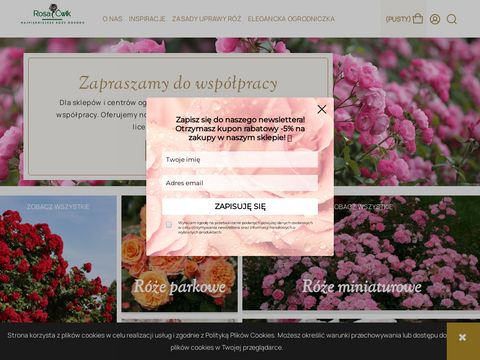 Rosacwik-sklep.pl róże pnące
