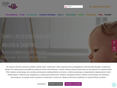 Akademiadlamalucha.pl prywatny złobek