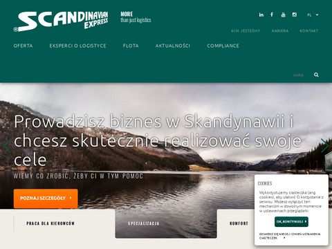Scandinavian.com.pl