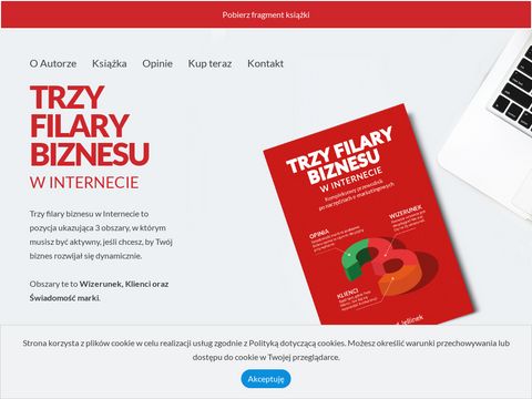 Trzyfilarybiznesu.pl firma w mediach społecznościowych