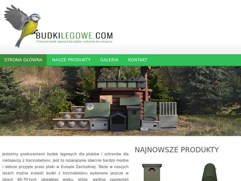 Budkilegowe.com