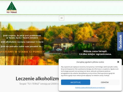 Alkoholizm.org.pl klinika leczenia Tu i Teraz
