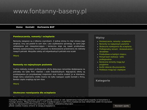 Fontanny-baseny.pl utrzymanie basenu serwis