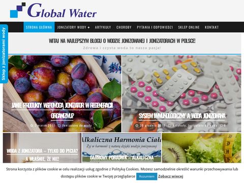 Global Water Jonizator wody