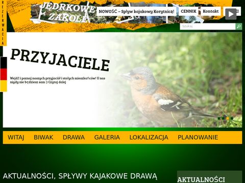 Jedrkowezakole.pl firmowy spływ kajakowy Drawą