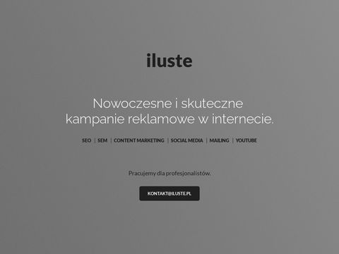 Iluste.pl - marketing internetowy